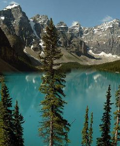 Zmiany w sezonie kwitnienia roślin w Górach Skalistych