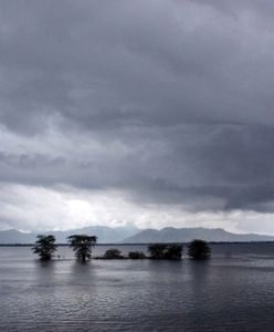 El Nino może wrócić jeszcze w tym roku