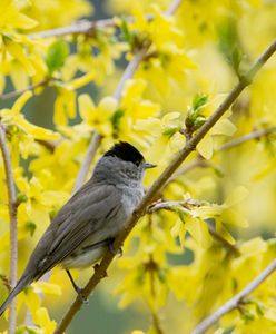 Prognoza pogody na 23 i 24 kwietnia