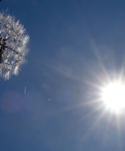 Rok 2013 czwartym z najcieplejszych lat od 1880 roku