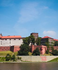 Coraz więcej Ukraińców przyjeżdża do Polski. Chcą się uczyć i wykorzystywać swój potencjał