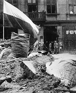 Marcin Wolski: między obłędem a miłością