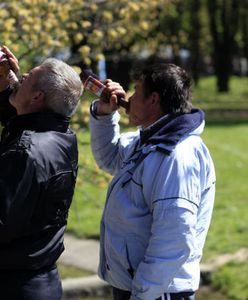 Piotr Czerwiński: kto leży we francuskich krzakach