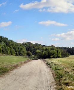 Słońce czy deszcz? Zimno czy ciepło? - prognoza