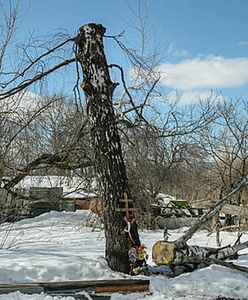 Tomasz Siemoniak: nie potrzeba ognistych polemik z Rosjanami ws. pomnika w Smoleńsku