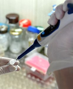 Brodawczak ludzki - nadciąga plaga HPV