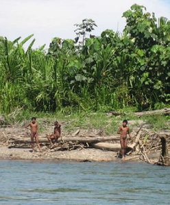 Drzewa w Amazonii zagrożone kombinacją pożarów i zmian klimatu