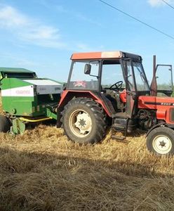 To prawdziwa klęska. Ponad 230 pomorskich gospodarstw ucierpiało w efekcie suszy