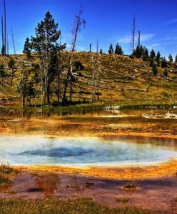 Yellowstone wybuchnie? Skutki byłyby dramatyczne