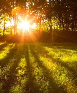 Słońca nie zabraknie - prognoza pogody na 18 i 19 września