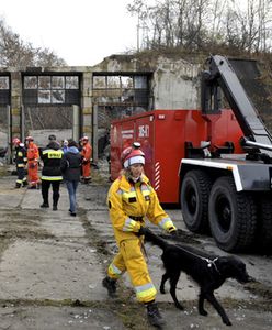 Zawalił się magazyn w Gdyni - w środku mogli być ludzie