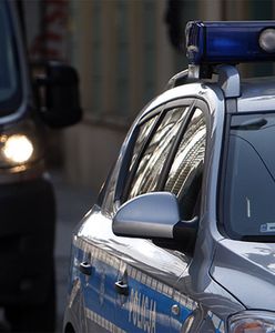 Auta warte ponad 250 tys. zł - policjanci z Lubina zlikwidowali dziuplę