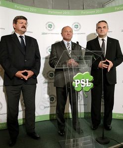 Igor Janke: wszyscy politycy kochają PSL
