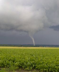 Trąby powietrzne nad Polską - zginęła jedna osoba