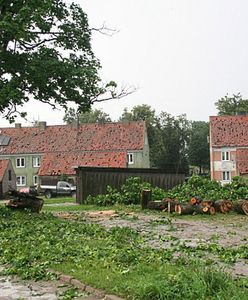 Powalone drzewa, uszkodzone dachy, zalane piwnice - bilans środowych nawałnic