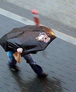 Gwałtowne burze w woj. lubuskim: połamane drzewa, zalane piwnice i pożary