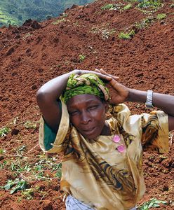 Osunięcie ziemi w Ugandzie. Ok. 30 zabitych, ponad 100 zaginionych