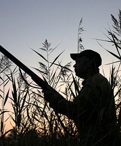 Niewiarygodna historia - pies postrzelił myśliwego