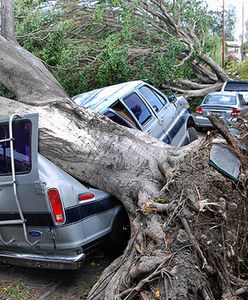 Huragan pustoszy Kalifornię. Los Angeles sparaliżowane