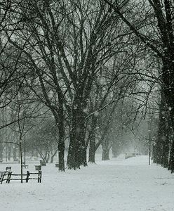 Gdzie sypnie śniegiem? Sprawdź prognozę pogody