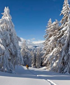 Atak zimy. W słowackich Tatrach ogłoszono stan klęski
