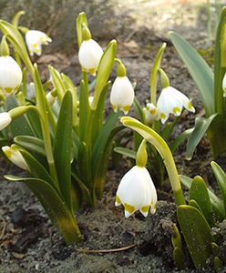 Nadchodzi najcieplejszy weekend w tym roku - prognoza
