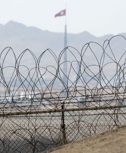 Uciekinierzy z Korei Północnej, którzy wracają do ojczyzny. Nie wszyscy są zadowoleni z faktu, że porzucili reżim