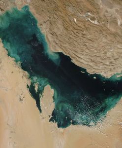 Iran pozywa Google za brak Zatoki Perskiej na mapie