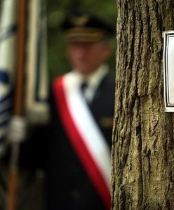 "Nie odsłuchałem głosu taty z czarnej skrzynki". 25 lat od katastrofy w Lesie Kabackim