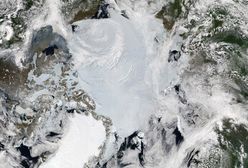 Putin chce wojskowej ochrony wydobycia ropy w Arktyce