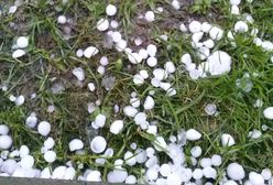 Zniszczone uprawy i dziury w dachach po gradobiciu w Belgii - wideo