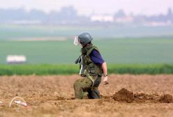 Znaleziono około 400 pocisków z czasów II wojny światowej