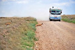 Tanzania: ponad 40 martwych ciał w ciężarówce z imigrantami