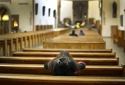 Polacy wciąż religijni