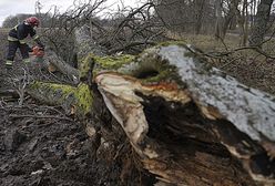 Meteorolodzy ostrzegają: będzie wiało do 100km/godz