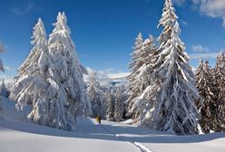 Atak zimy. W słowackich Tatrach ogłoszono stan klęski