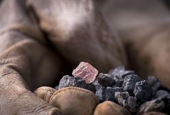 Niezwykłe znalezisko w kopalni warte milion dolarów