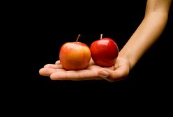 Mity o żywności ekologicznej