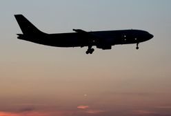 Al-Kaida pracuje nad bombami, które można wszczepić zwierzętom