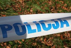 Zuchwała kradzież na Mazowszu. Policja apeluje o pomoc