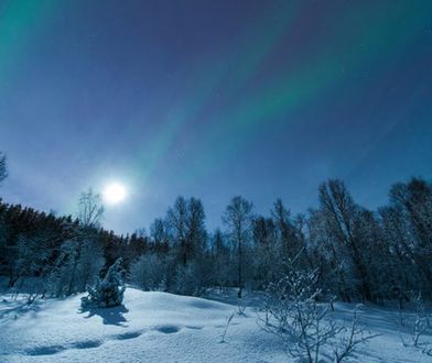 Prognoza pogody na 26 i 27 lutego