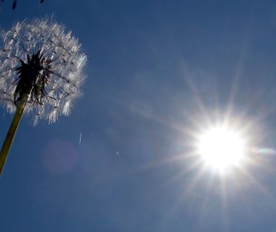 Rok 2013 czwartym z najcieplejszych lat od 1880 roku