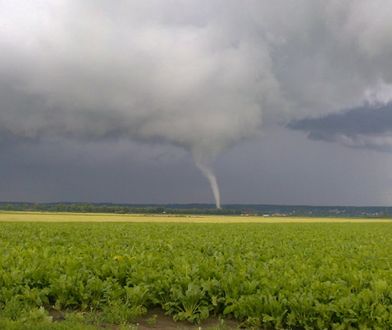 Trąby powietrzne nad Polską - zginęła jedna osoba