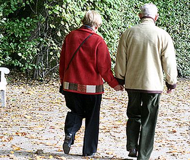 Gdyńscy radni PO chcą budowy nowego domu pomocy społecznej w mieście