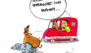 Giertych: homoseksualistom mówimy "NIE"