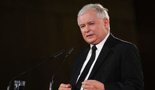 Prezes PiS: bawi mnie okrzyk "precz z dyktatorem"