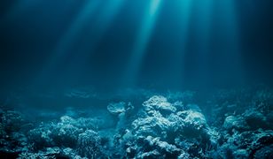 Ewolucja zatrzymana na dwa miliardy lat