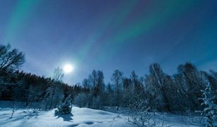 Prognoza długoterminowa - widać wiele... minusów