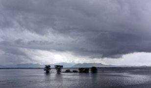 El Nino może wrócić jeszcze w tym roku