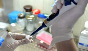 Fizyk z Politechniki Gdańskiej jest współodkrywcą nowej rodziny związków chemicznych